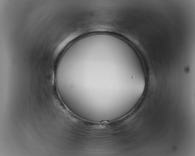 X0000115481317200911201830