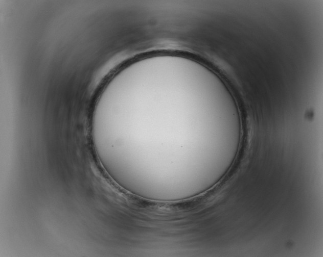 X0000115481318200911201830