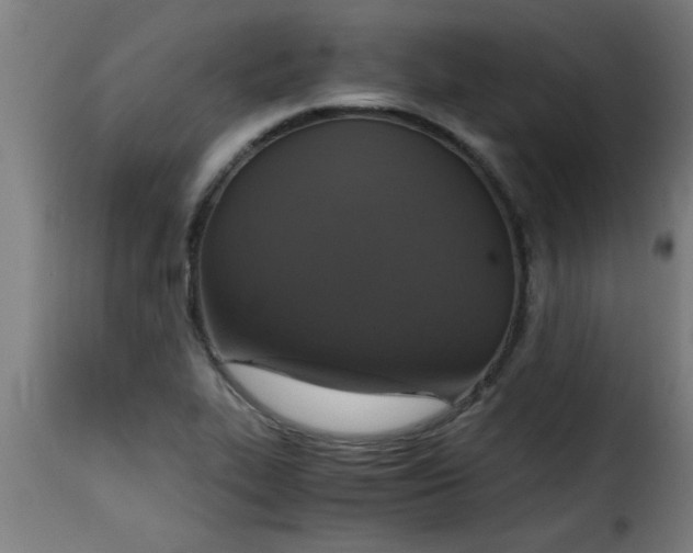 X0000115481319200911201830