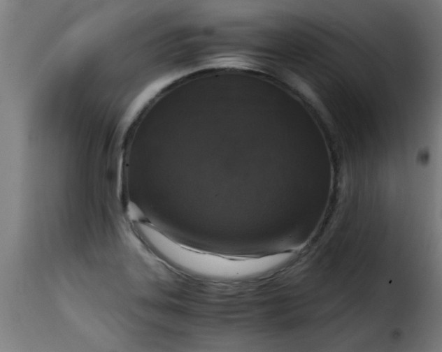 X0000115481323200911201830