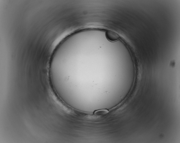 X0000115481325200911201830