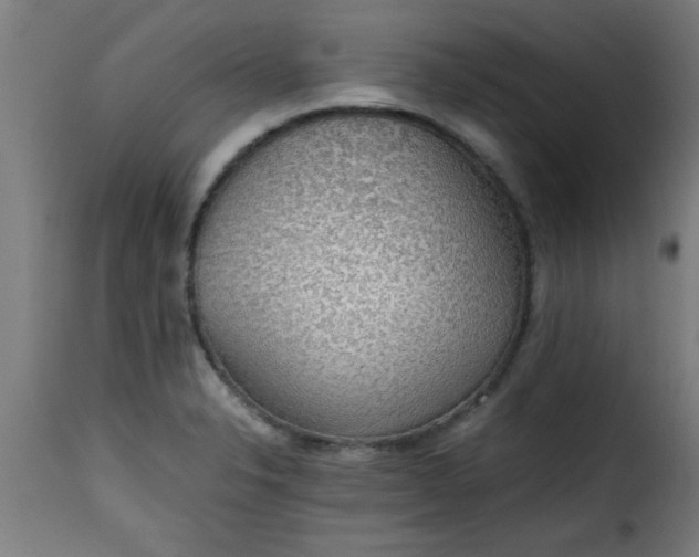 X0000115481326200911201830