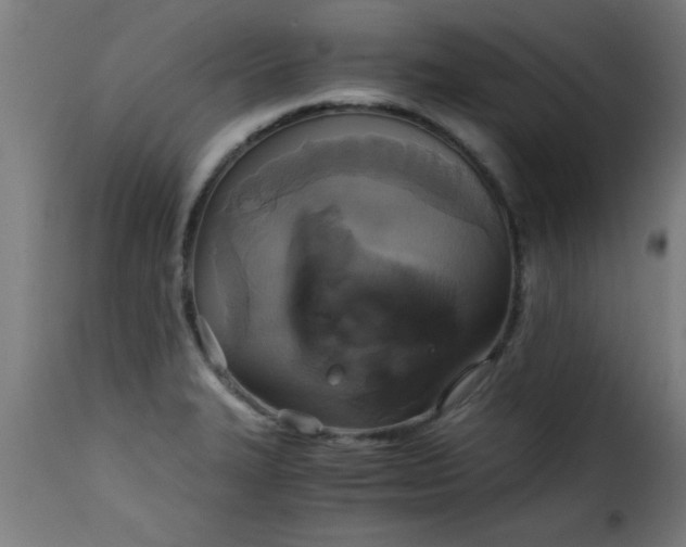 X0000115481327200911201830