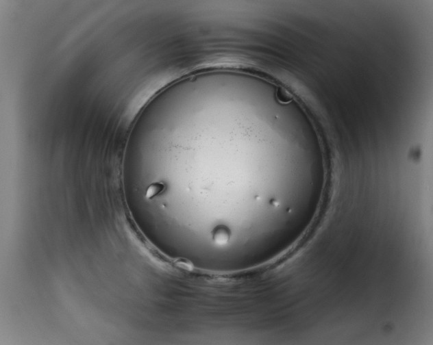 X0000115481329200911201830