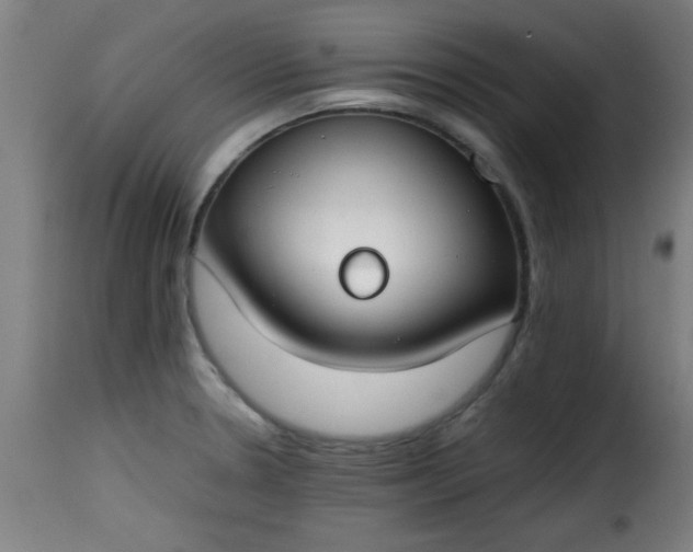 X0000115481330200911201830