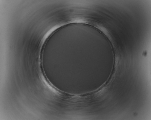 X0000115481331200911201830