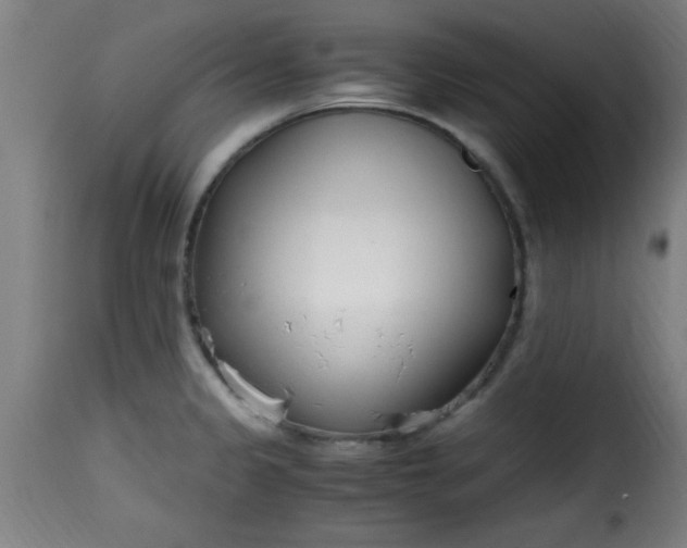 X0000115481333200911201831