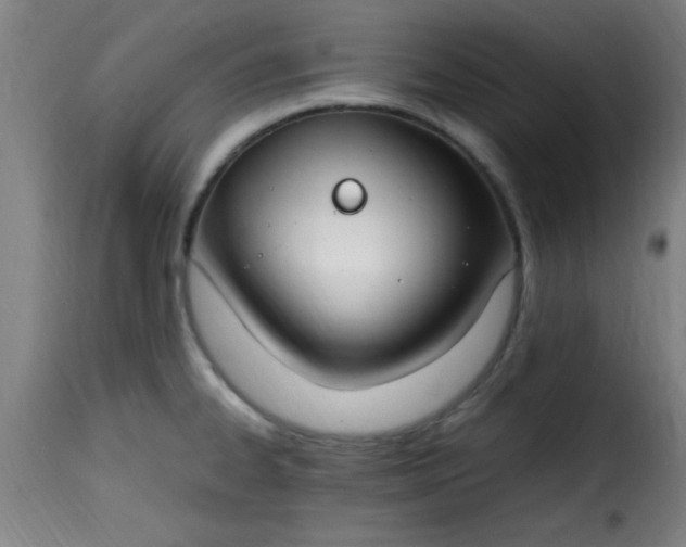 X0000115481334200911201831