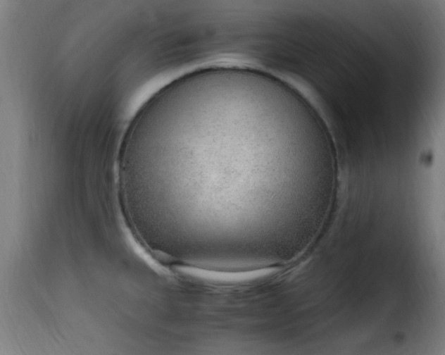 X0000115481335200911201831