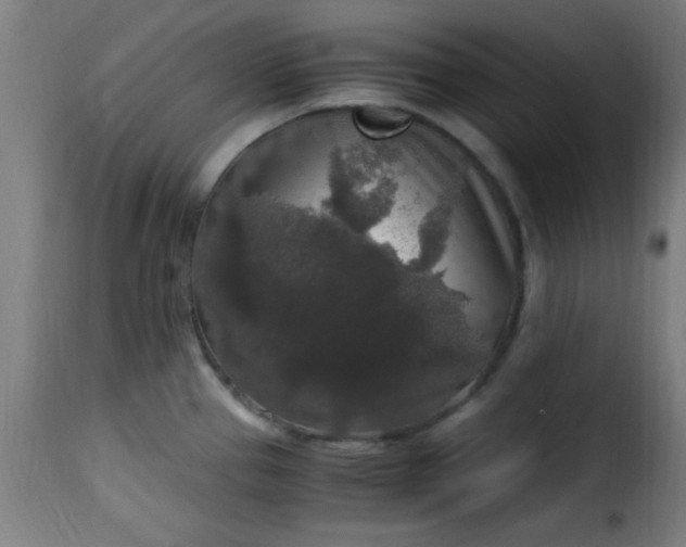 X0000115481337200911201831