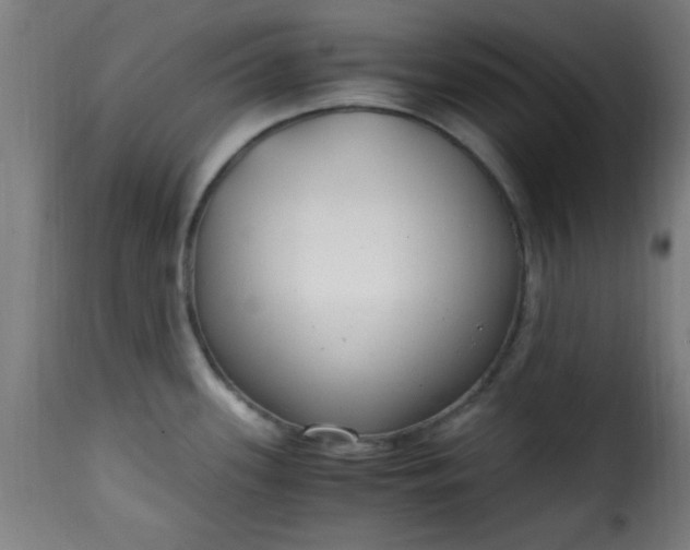 X0000115481339200911201831