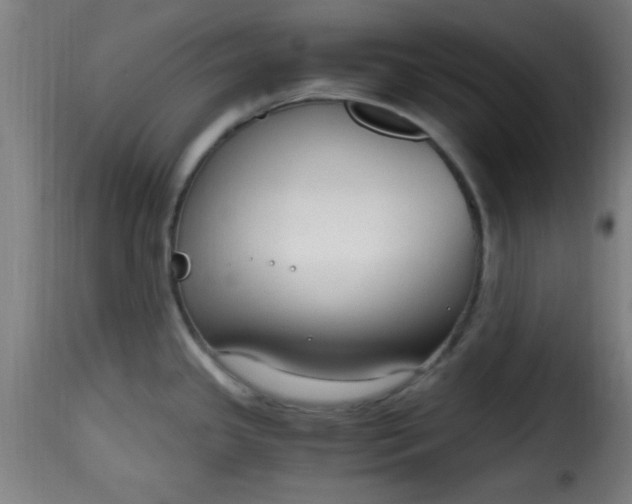 X0000115481341200911201831