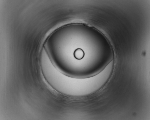 X0000115481342200911201831