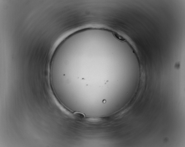 X0000115481343200911201831