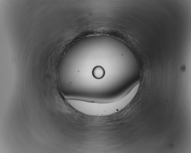 X0000115481345200911201830