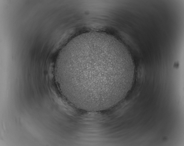 X0000115481346200911201830