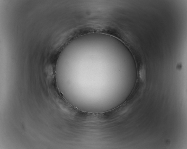 X0000115481347200911201830