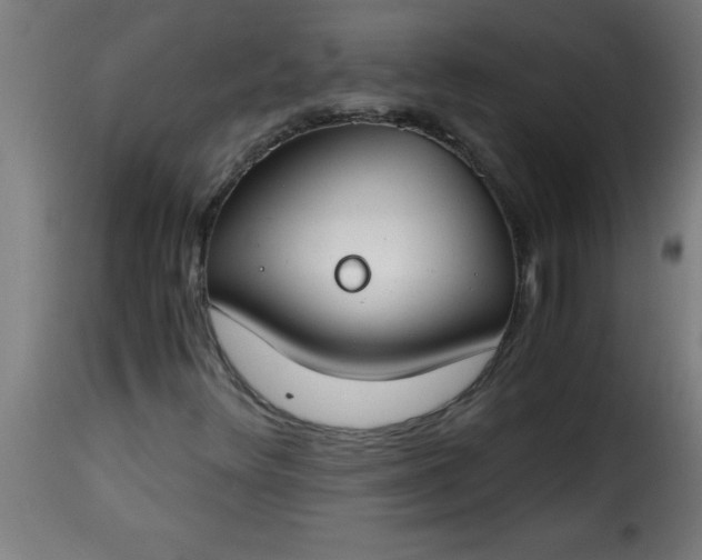 X0000115481348200911201830