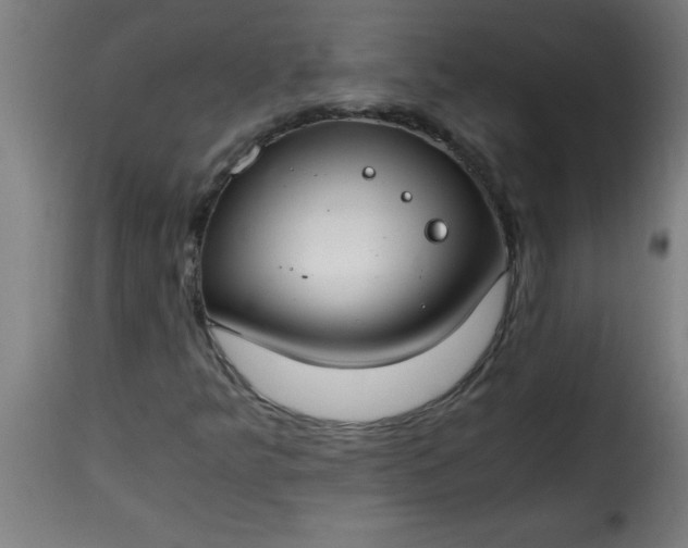 X0000115481349200911201830