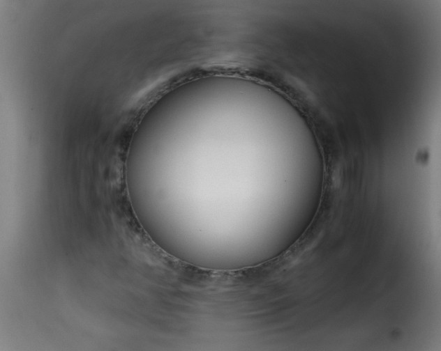 X0000115481350200911201830