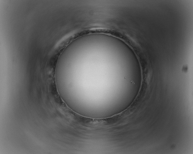 X0000115481351200911201830