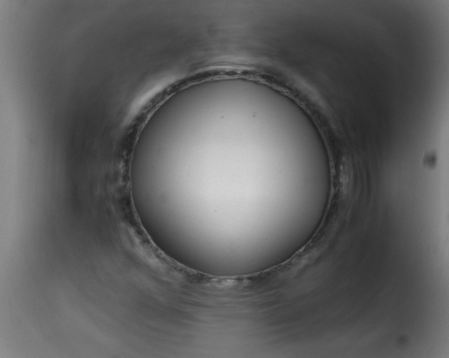 X0000115481352200911201830