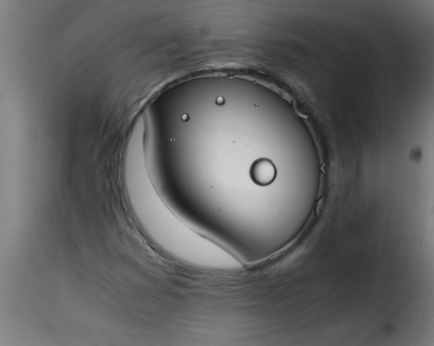 X0000115481353200911201830