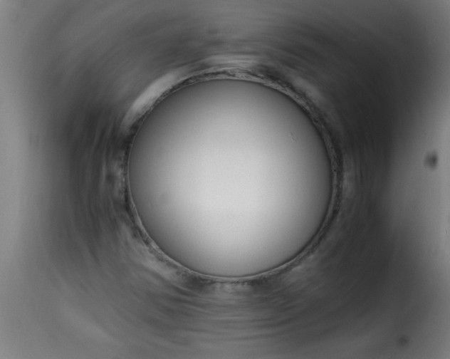 X0000115481354200911201830