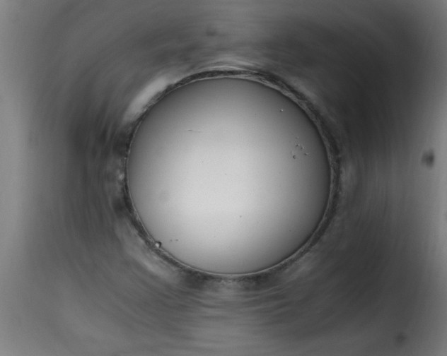 X0000115481355200911201830