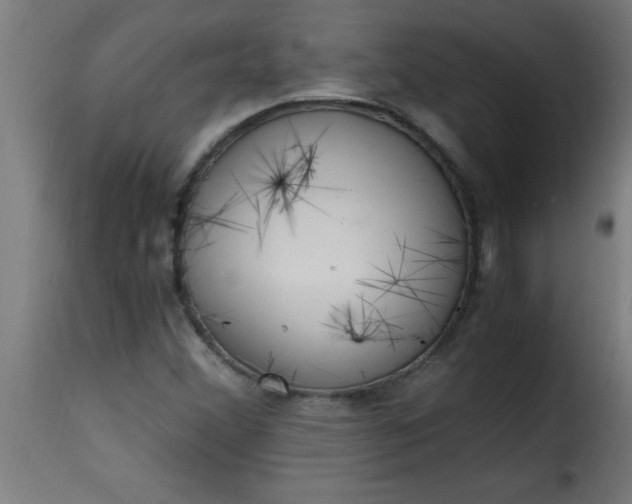 X0000115481356200911201830