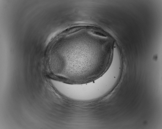 X0000115481357200911201830