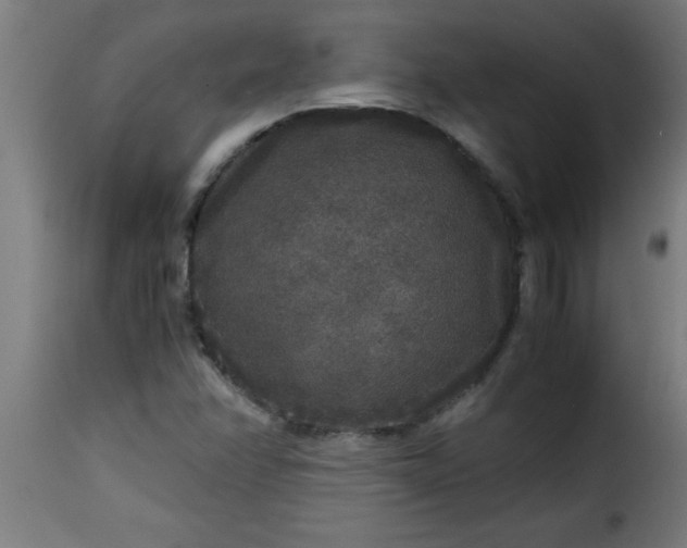 X0000115481358200911201830