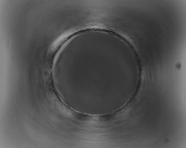 X0000115481359200911201830