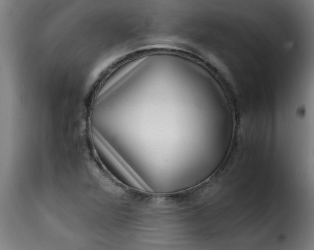 X0000115481360200911201830