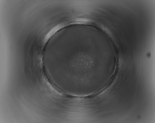 X0000115481362200911201830