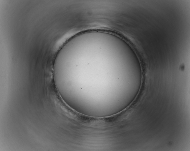 X0000115481363200911201830