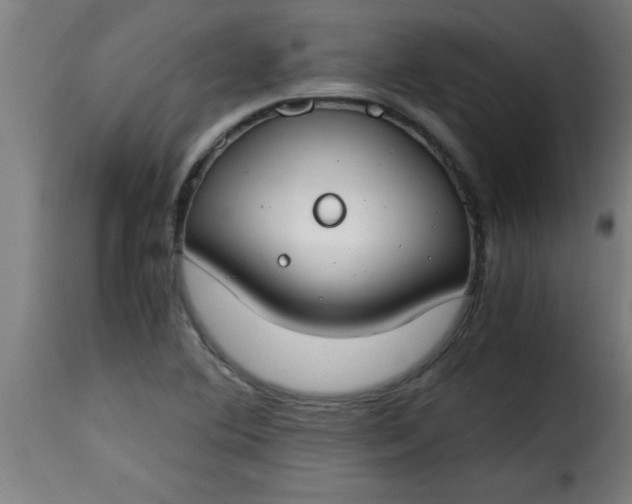 X0000115481364200911201830