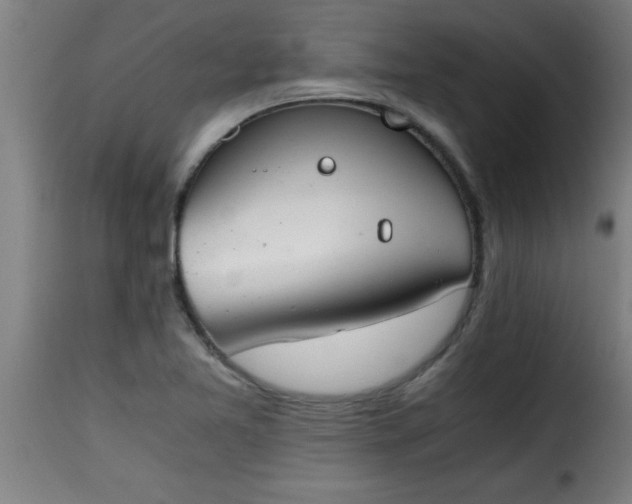 X0000115481365200911201830