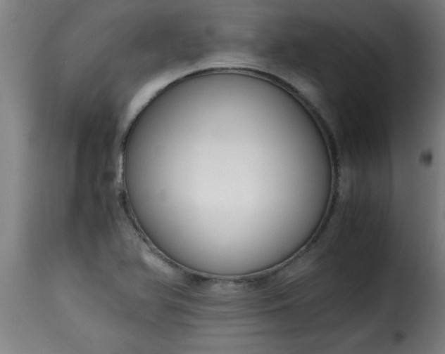 X0000115481366200911201830