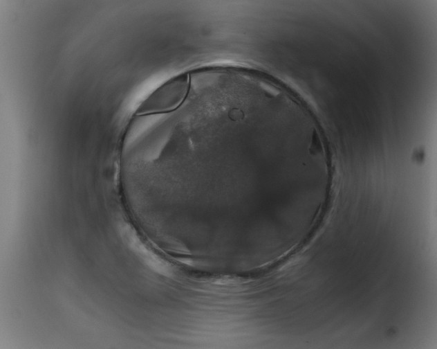 X0000115481367200911201830