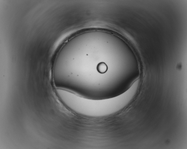 X0000115481368200911201830