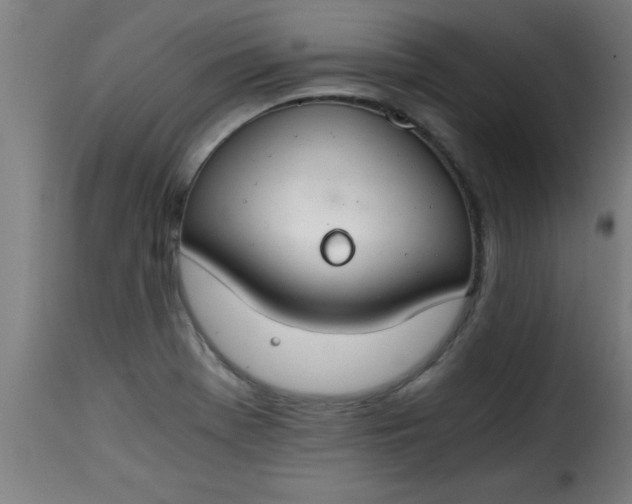 X0000115481369200911201830