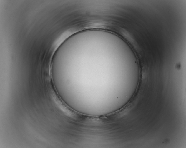 X0000115481370200911201830