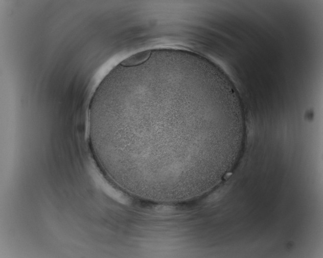 X0000115481371200911201830