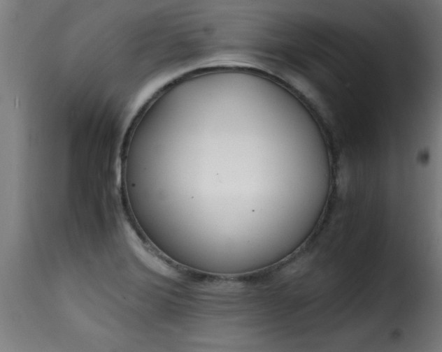 X0000115481372200911201830