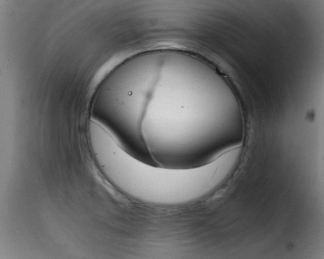 X0000115481373200911201830