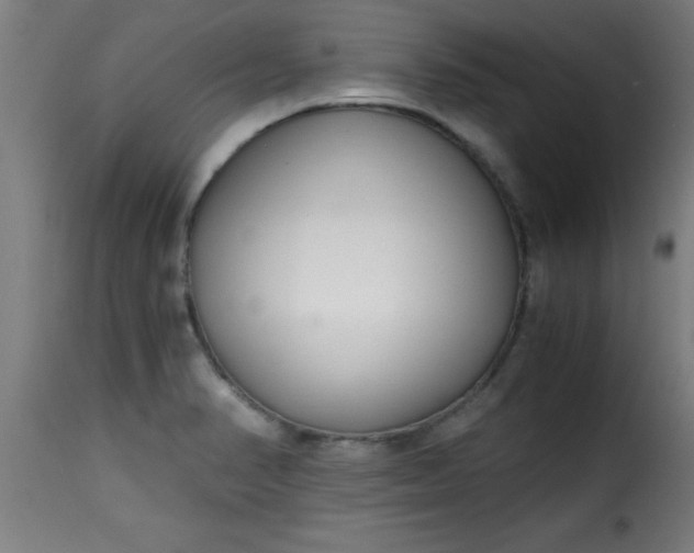 X0000115481374200911201830