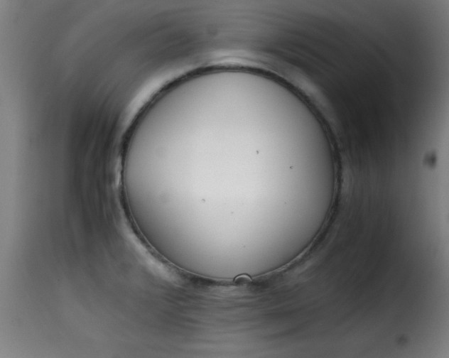 X0000115481376200911201830