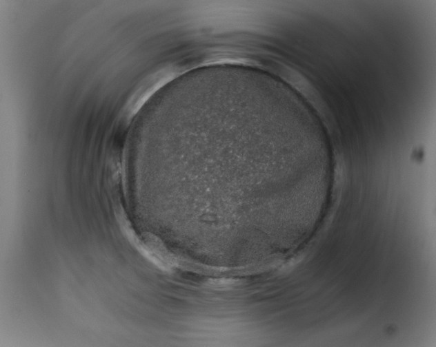 X0000115481377200911201830