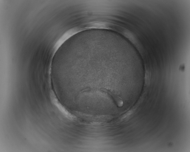 X0000115481378200911201830